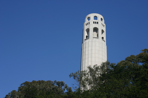 Coit Tower rises from the trees