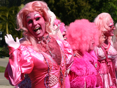 Pink Ladies
