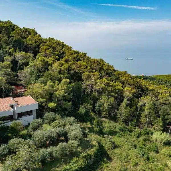 Villa with a Sea View in Livorno-0_268329