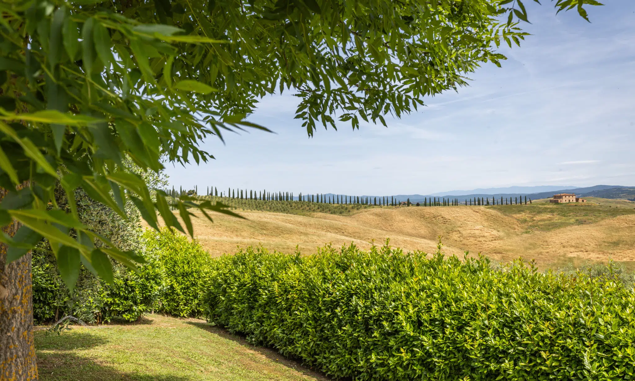crete senesi tuscany