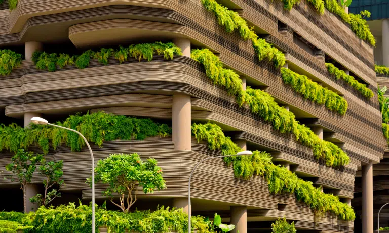 Green Buildings in Real Estate