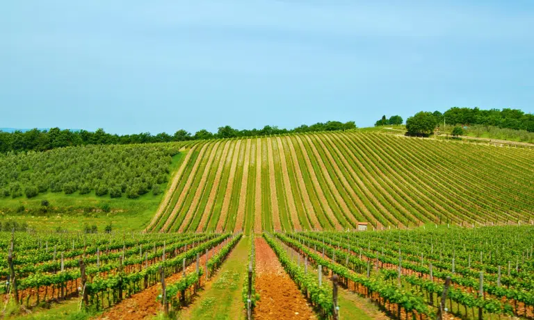 Buy a Home in Chianti: 3 Luxury Investment Types