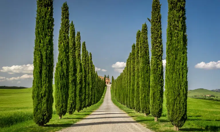 Tuscany: Italy’s Prime Luxury Property Market