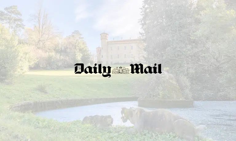 1,000-year-old Italian castle up for sale at €14.9 million. Italian Heritage Property: 11th-Century Castle Listed at 14.9 Million Euros – Daily Mail 14182